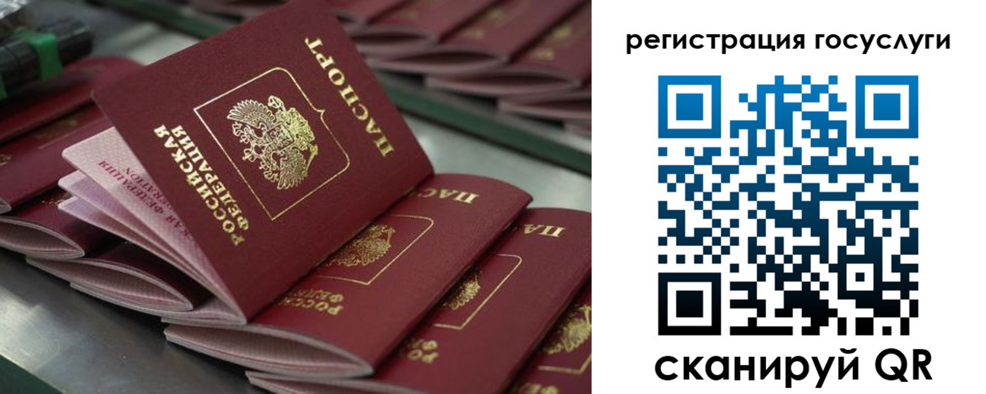 прописка 2025 в Феодосии